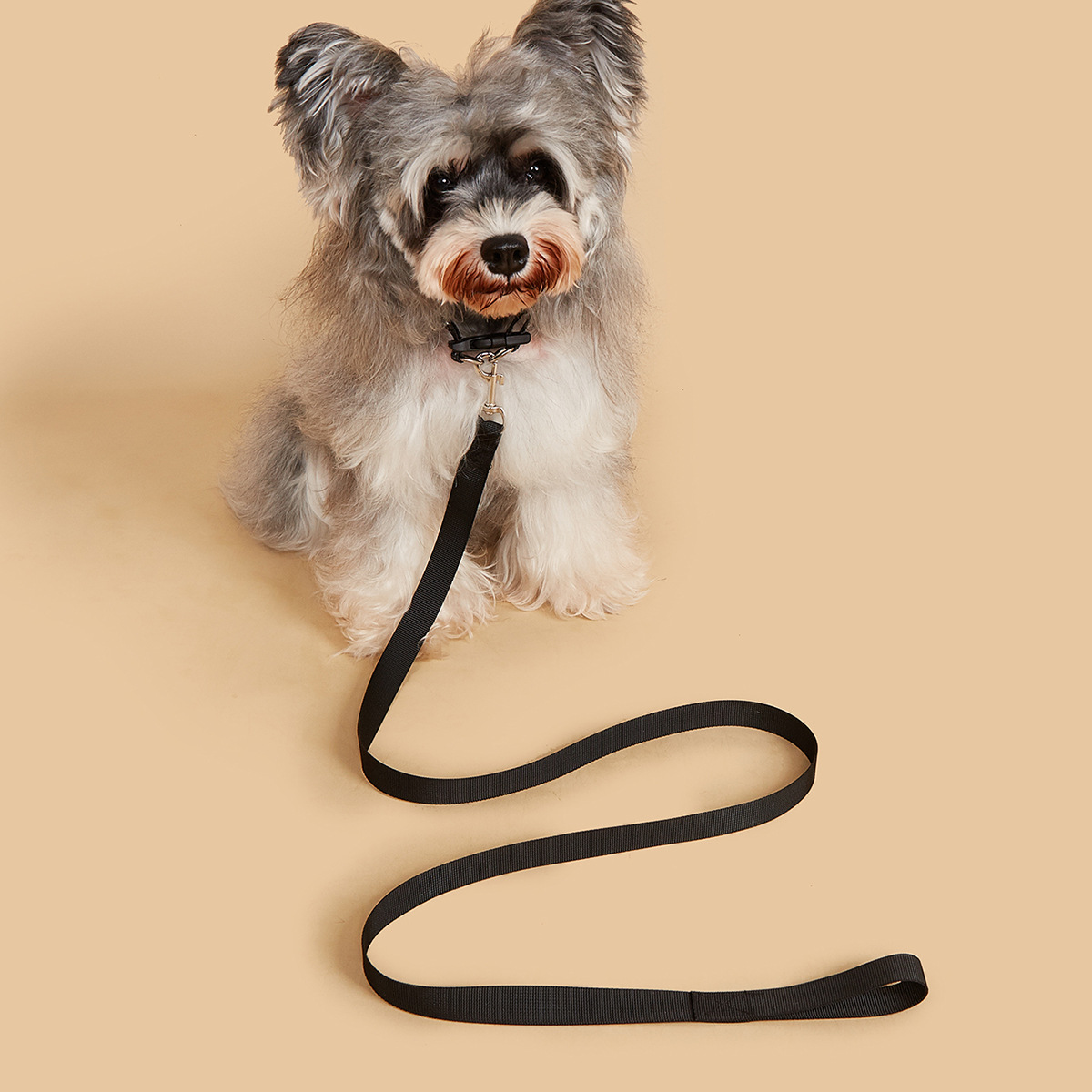 Pet Leash & Collar Set, Durabl - Headcollar Rope Set review and price