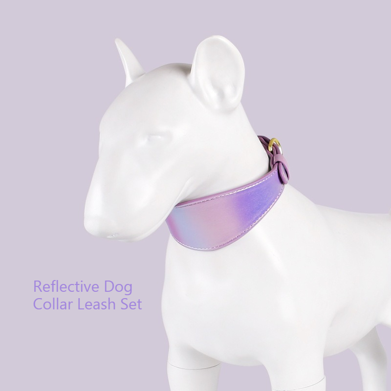 REFLECTIVE LEATHER DOG COLLAR  - Headcollar Rope Set review and price