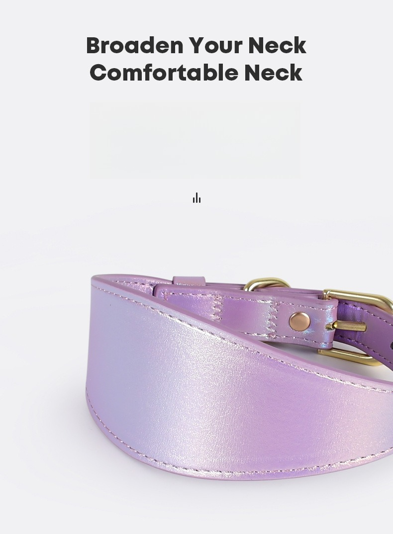 REFLECTIVE LEATHER DOG COLLAR  - Headcollar Rope Set review and price