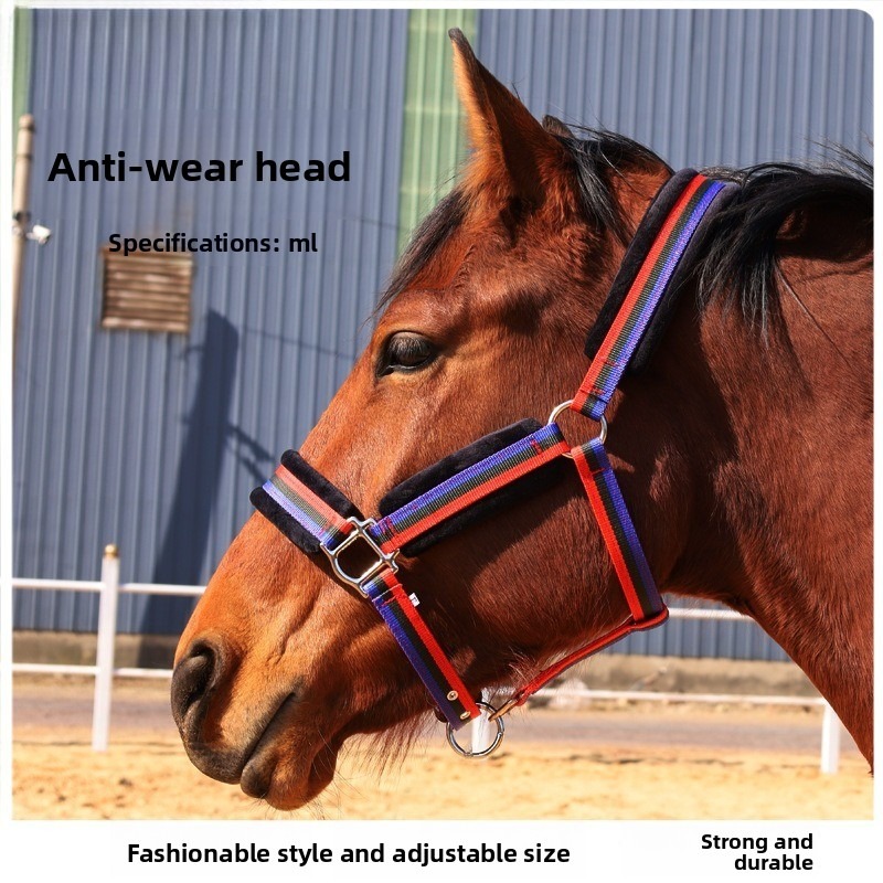 Wear‑Resistant Textile Horse H - Headcollar Rope Set review and price