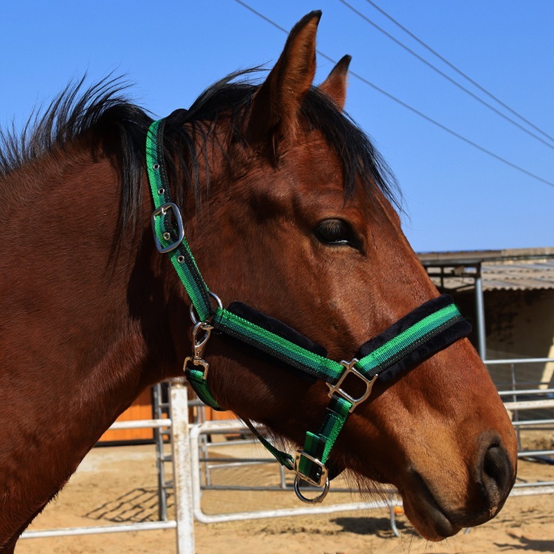 Wear‑Resistant Textile Horse H - Headcollar Rope Set review and price