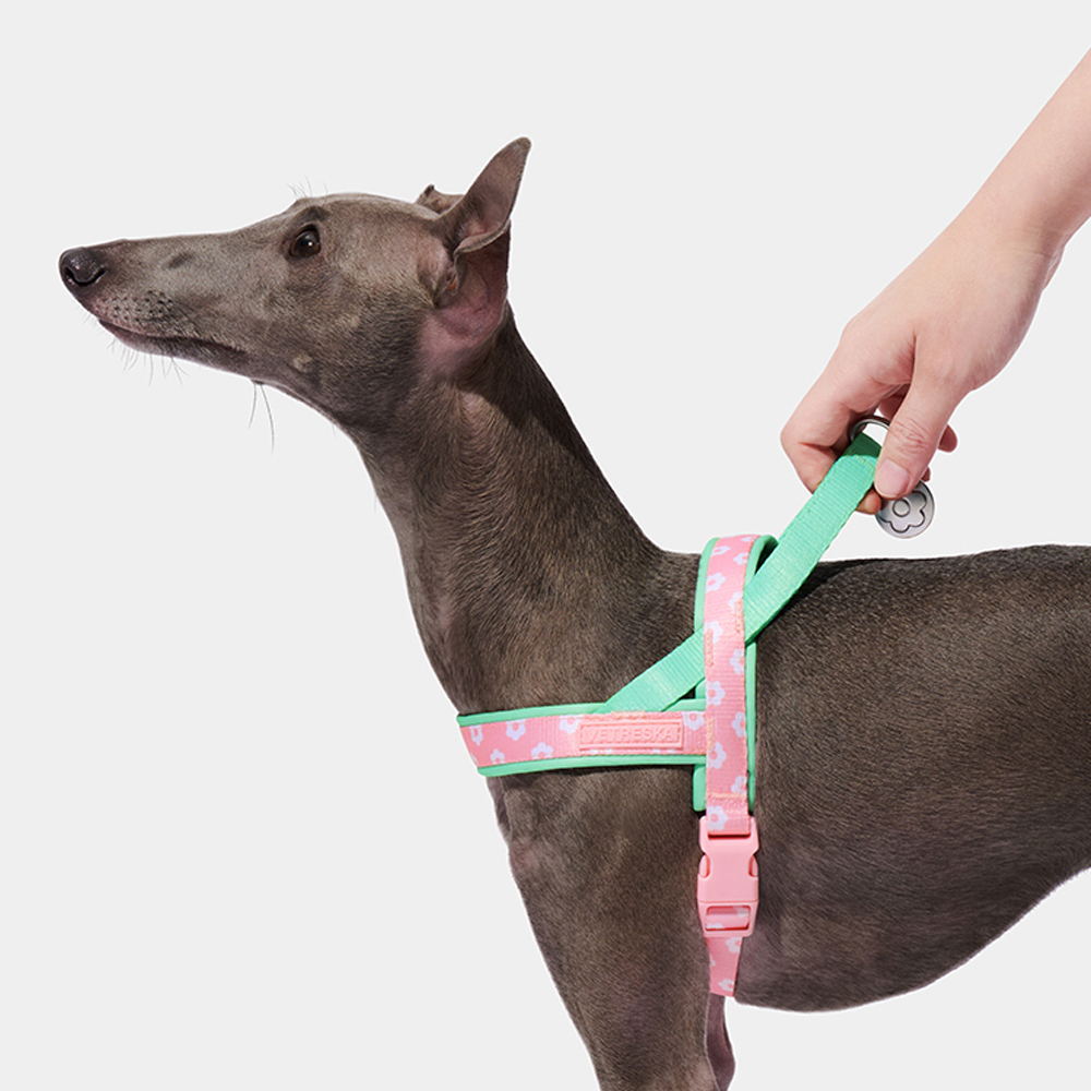 Luxury Pet Chest Strap Tractio - Headcollar Rope Set review and price