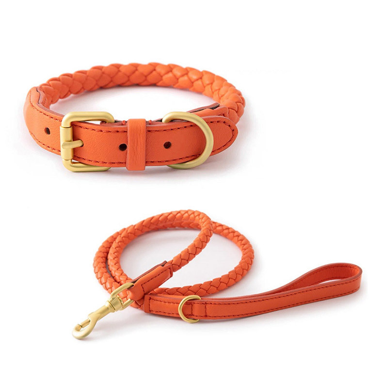 Adjustable Braided Leather Pet - Headcollar Rope Set review and price