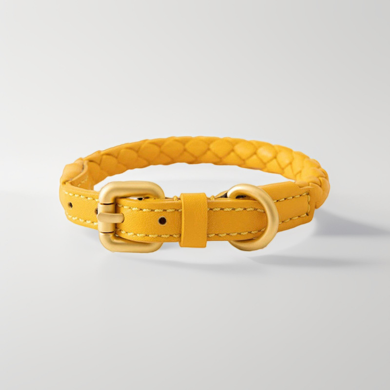 Adjustable Braided Leather Pet - Headcollar Rope Set review and price