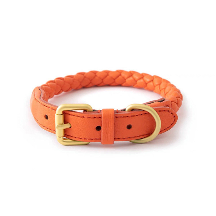 Adjustable Braided Leather Pet - Headcollar Rope Set review and price