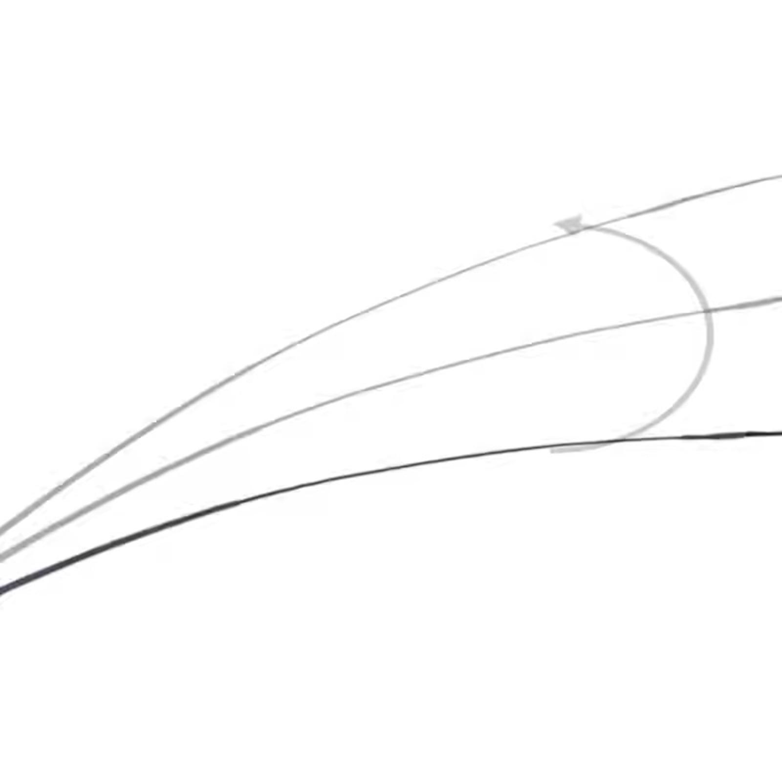 Versatile Riding Crop Metal Ny - Riding Crop Dressage review and price